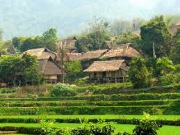 Ban lang cua nguoi Muong http://t0.gstatic.com/images?q=tbn:ANd9GcTDqeAwz-XA_PO1u0_JkMhHzERqTifHDvss5CH7mEBhjU5tipMS