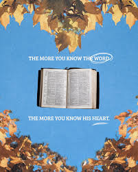 Image result for St Buryan Smbc