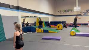 Image result for flip and twist