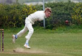Image result for Portland Red Triangle Cricket Club