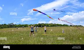 Image result for Brighton Kite Fliers