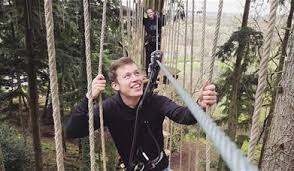 Image result for Go Ape! Whinlatter