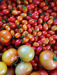 Afbeeldingsresultaat voor hawaiian white cherry tomato