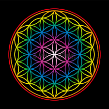 Image result for life flower