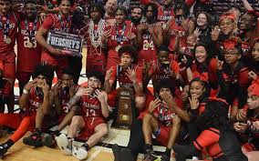 Image result for Reading Knights