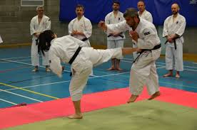 Image result for Bournemouth Shorinji Kempo Club