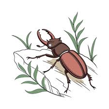 Attēlu rezultāti vaicājumam “Platycerus caraboides”