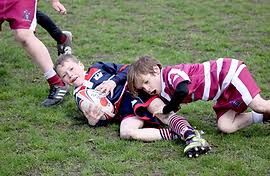 Image result for Old Reigatian Rfc Junior & Mini