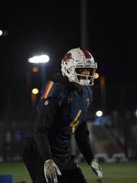 Image result for Birmingham University Lions