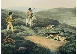 Image result for Shooting, Hunting, Fieldsports on Art prints from 1700's to 1900's