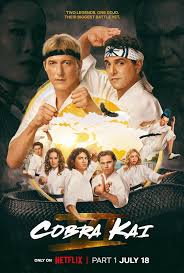 Image result for Cobra Karate Club