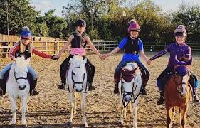 Image result for Huntingdon and District Riding Club