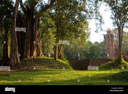 Image result for Buddha Maligavilla Srilanka