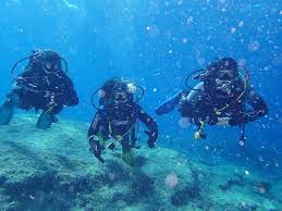 Image result for Lutterworth Sub-Aqua Club