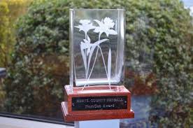 Image result for Shelley Netball Club