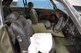 Image result for Fern Gray 1976 Jaguar