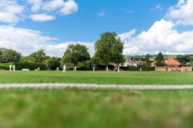 Image result for Reigate Priory Lawn Tennis Club