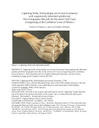 Image result for Sinistrofulgur perversum