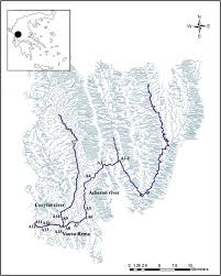 Attēlu rezultāti vaicājumam “Eurhynchiastrum pulchellum macro”