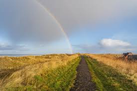 Image result for wetter