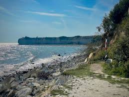 Image result for stevns klint