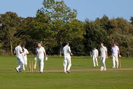 Image result for Middleton Stoney Cricket Club
