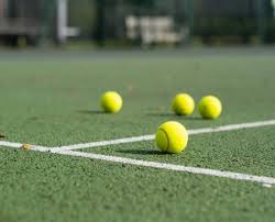 Image result for Elstead Badminton Club