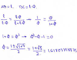 Image result for numero aureo