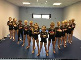Image result for Durham University Gymnastics Club