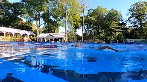 Image result for Wisbech Swimming Club