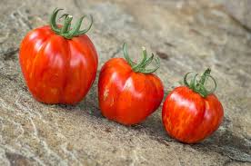 Afbeeldingsresultaat voor oranje van goeienbier tomato