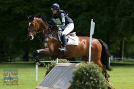 Image result for Jp-Sheffield Eventing