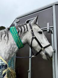 Image result for Winchester Riding Club