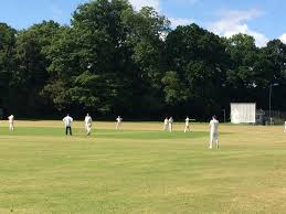 Image result for Shepherdswell Cricket Club