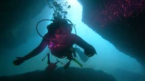 Image result for Breakwater Divers