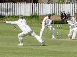 Image result for Patrington Cc