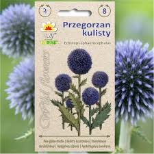 Attēlu rezultāti vaicājumam “Echinops sphaerocephalus flower”