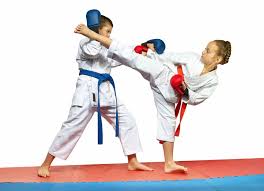 Image result for Blackpool Budokan Martial Arts