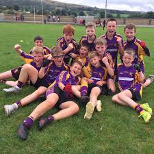 Image result for Carryduff Gaelic Athletic Club