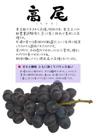 「南部こうざぶろう」の画像検索結果