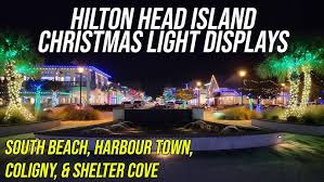 Image result for Harbour Lights Snorkelling Club (HLSC)