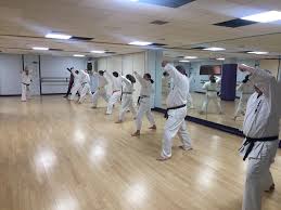Image result for Seiki Juku Karate Club