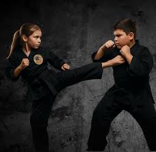 Image result for Freedom Martial Arts