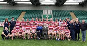 Image result for Sean Treacy`s Hurling Club