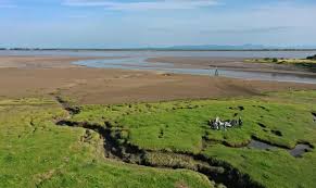 Image result for Solway