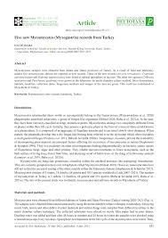 Attēlu rezultāti vaicājumam “Oligonema favogineum plasmodium”