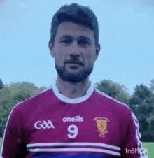 Image result for Sean Treacy`s Hurling Club