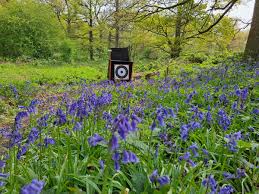 Image result for Panther Bowhunters Field Archery Club