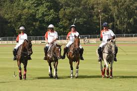 Image result for White Rose Polo Club