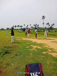 Image result for Runnymede Rascals Cricket Club